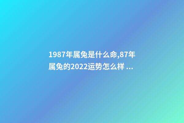 1987年属兔是什么命,87年属兔的2022运势怎么样 1987年属兔人2022年运势运程 1987年属兔人2022年运势好不好-第1张-观点-玄机派